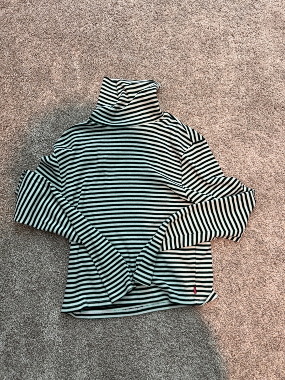 Levi Black, White and Mint Striped Ribbed Top